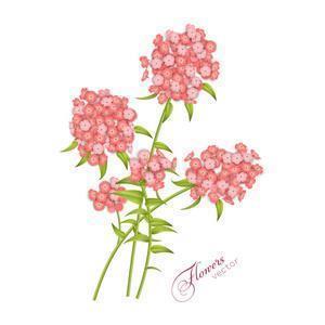 三月桃花开散文