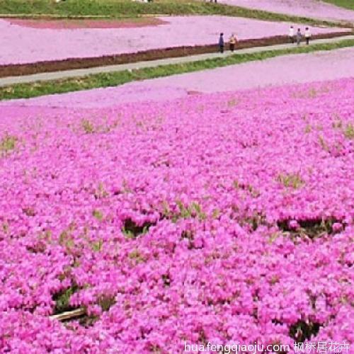 在这里
