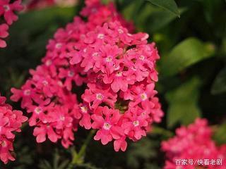 举手投足