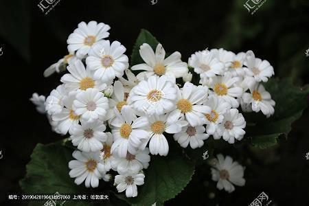 序·祭奠
