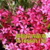 图图离开了