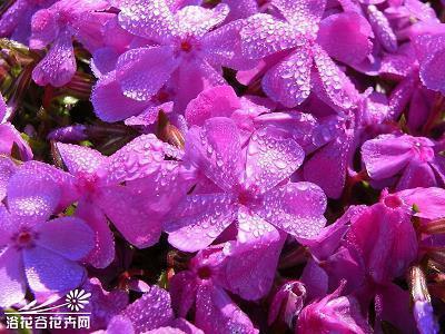 有时候，你需要关掉一盏灯