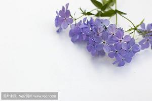 光阴的故事