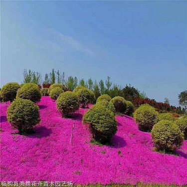 走在颓废的边缘