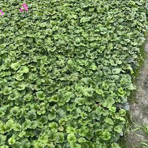 不同人，不同思想