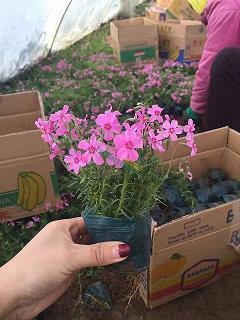 生活好比一杯咖啡