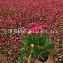 先学等待，再学飞翔