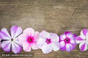 清明节前的讲话