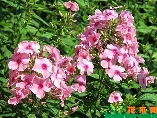 友（三）