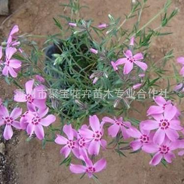 90后的世界