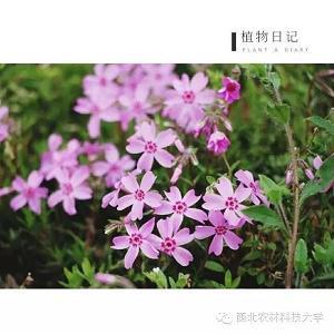 雅典娜和波赛冬行游北京