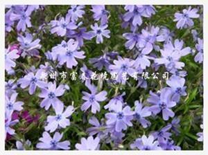 未来的电脑学校
