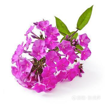 孤 独