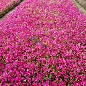 关于黑暗，以及其他