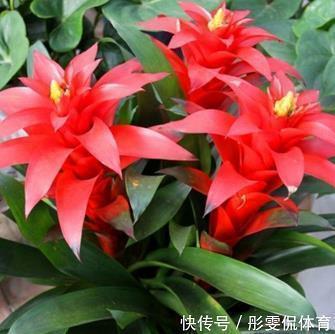 令我感动的一件事