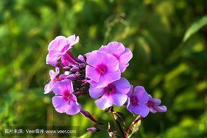 读《杜拉拉升职记》有感