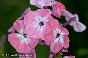 不忘初心，砥砺奋进